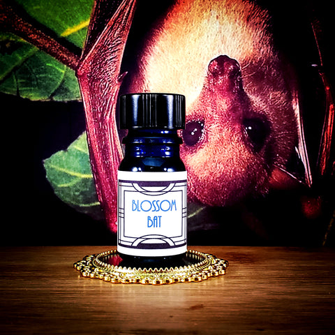 Blossom Bat