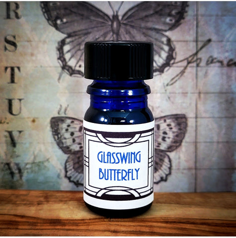 Glasswing Butterfly