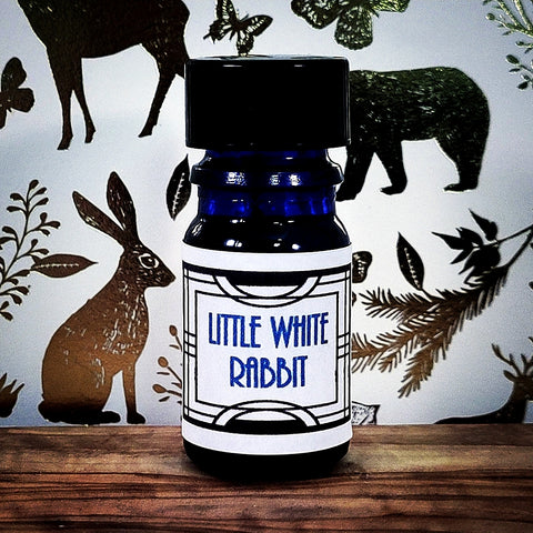 Little White Rabbit