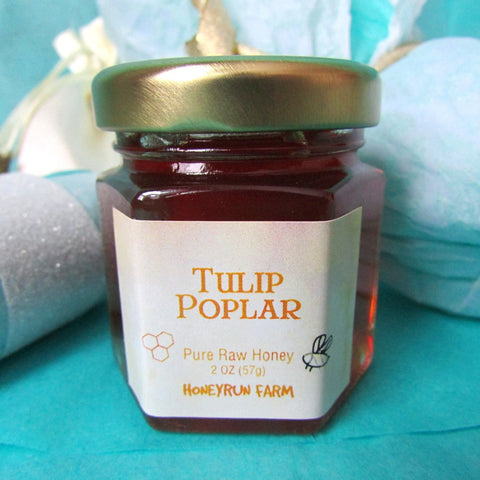Tulip Poplar Honey - Nui Cobalt Designs - 1